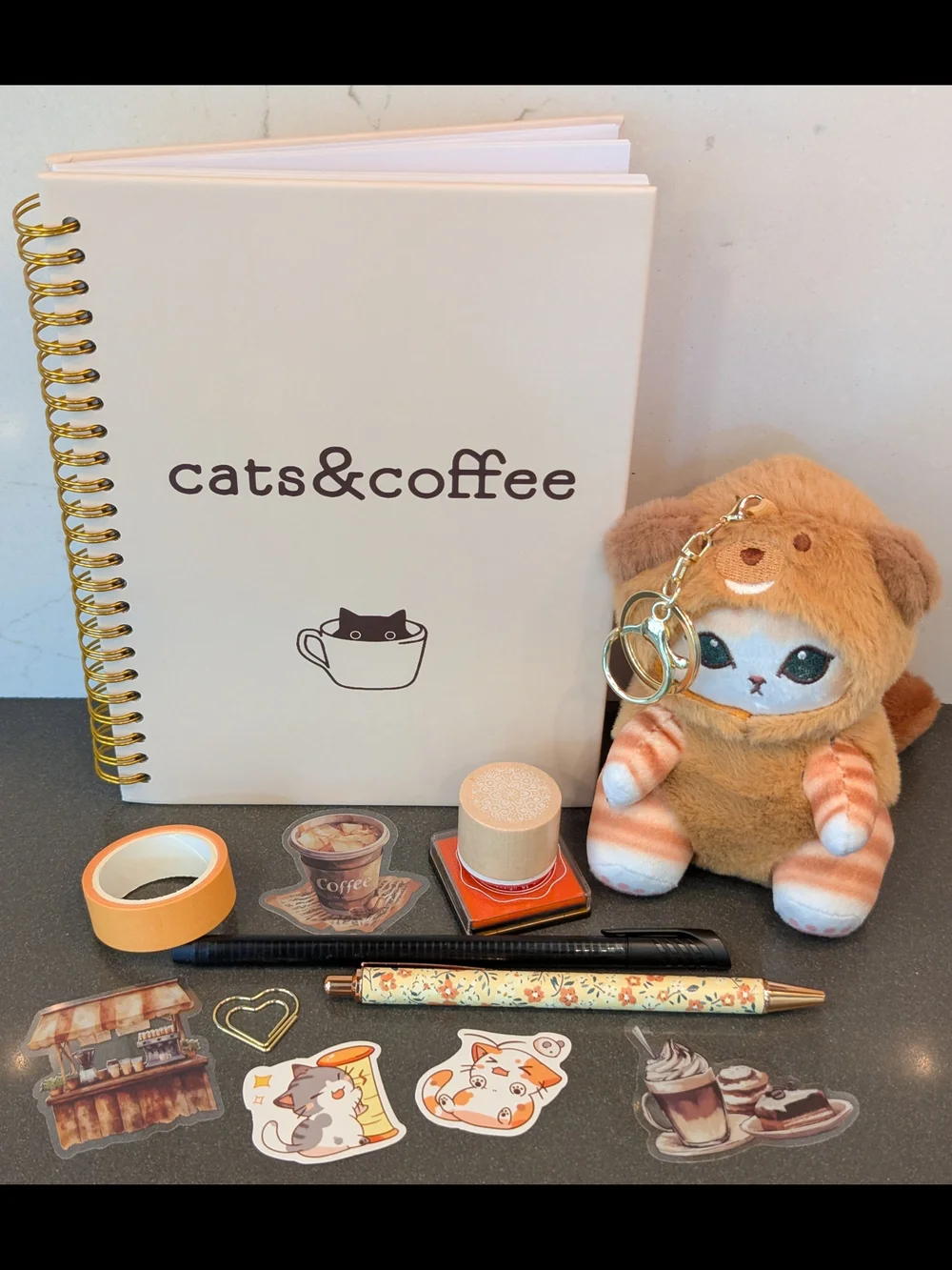 Orange Plush Cat In Beaver Costume With Notebook & More - Picture 1 of 5